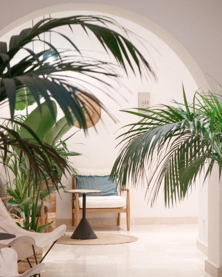 Casa du Soleil Hotel Madrid Eksteriør billede